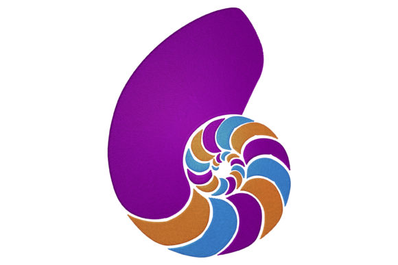Multicolor Shell: A Designer’s Review for Personalized Gifts