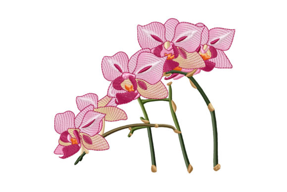 Review: Beautiful Branch of Pink Orchid for Holiday Gifts